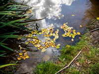 Clouds in the Water