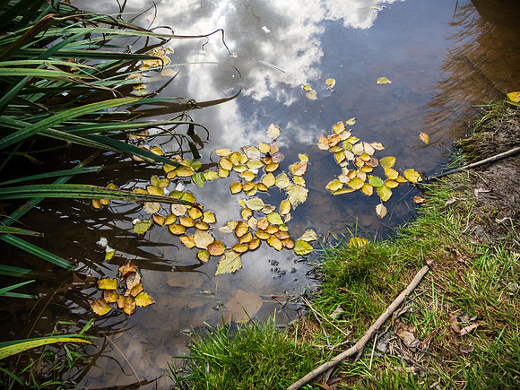 Clouds in the Water