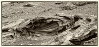 Capitol Reef National Park