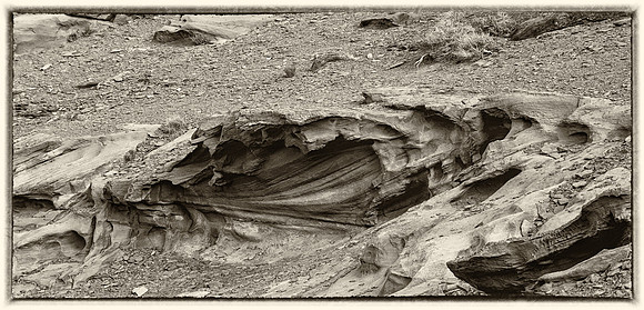 Capitol Reef National Park
