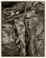 Capitol Reef National Park