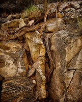 Capitol Reef National Park