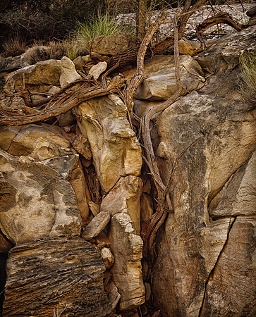 Capitol Reef National Park