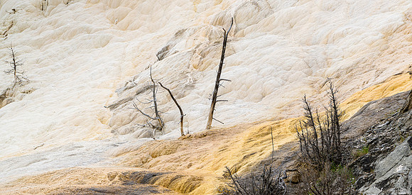 Yellowstone Mammoth Springs