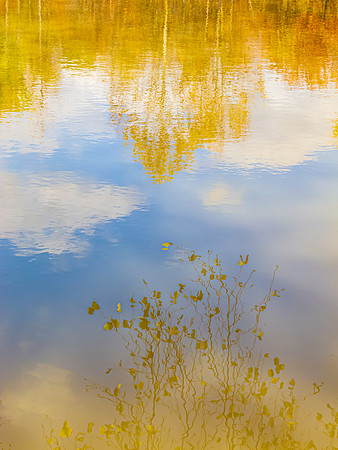 Fall leaves and sky reflected in water