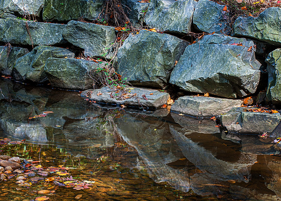 Rocks, Water and Leaves