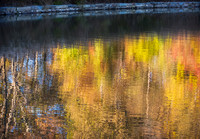 Fall Color