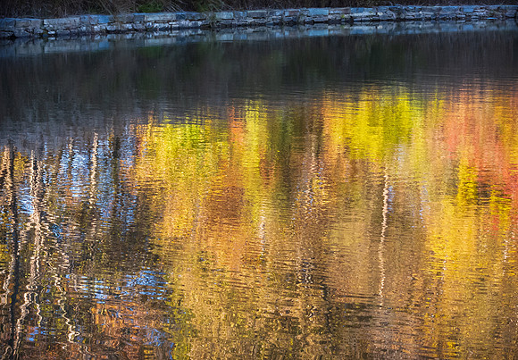 Fall Color